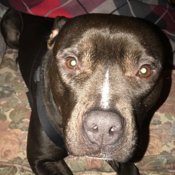 Meet your Posher, Taryn - Picture 2 of 3